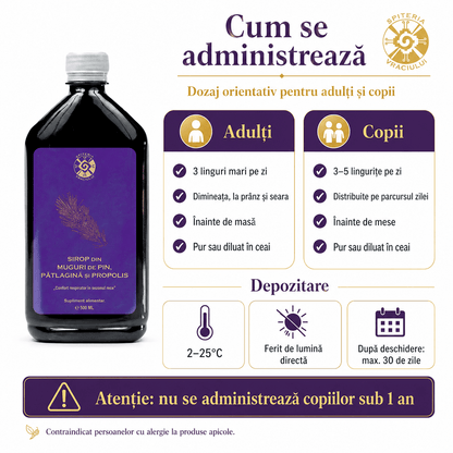 Leac Bătrânesc pentru Tuse și Bronșii – Sirop Muguri de Pin, Pătlagină și Propolis | 500ml
