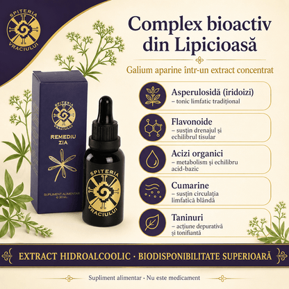 Remediu Natural Tonic Limfatic – ZIA | 30ml