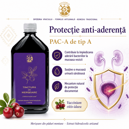 Leac Bătrânesc pentru Tract Urinar – Tinctură de Merișoare | 500ml