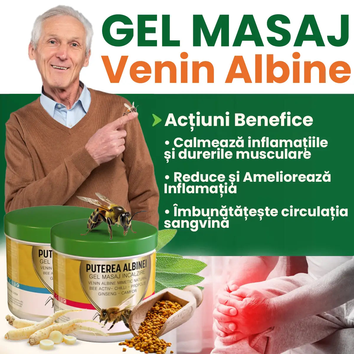 Puterea Albinei